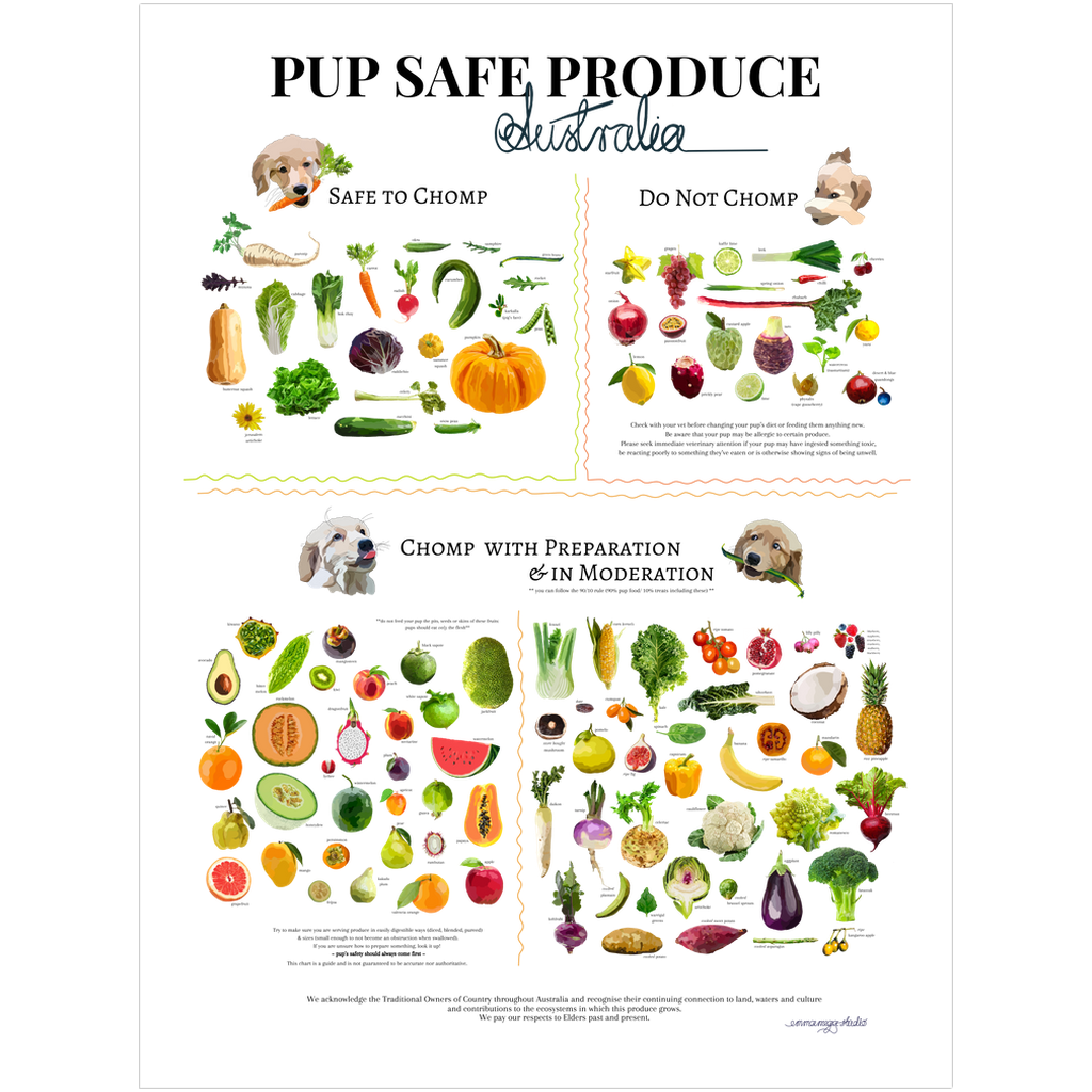 Pup Safe Produce A3 Art Print