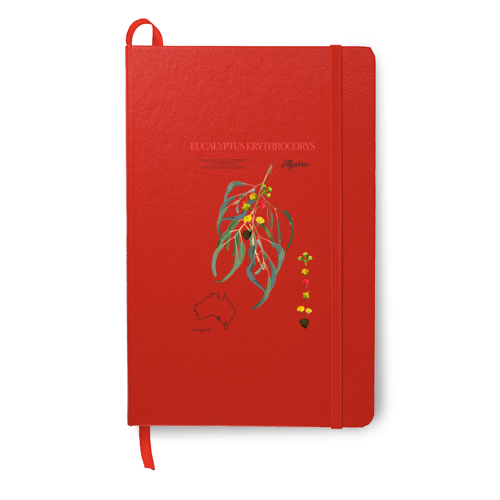 Illyarrie Journal