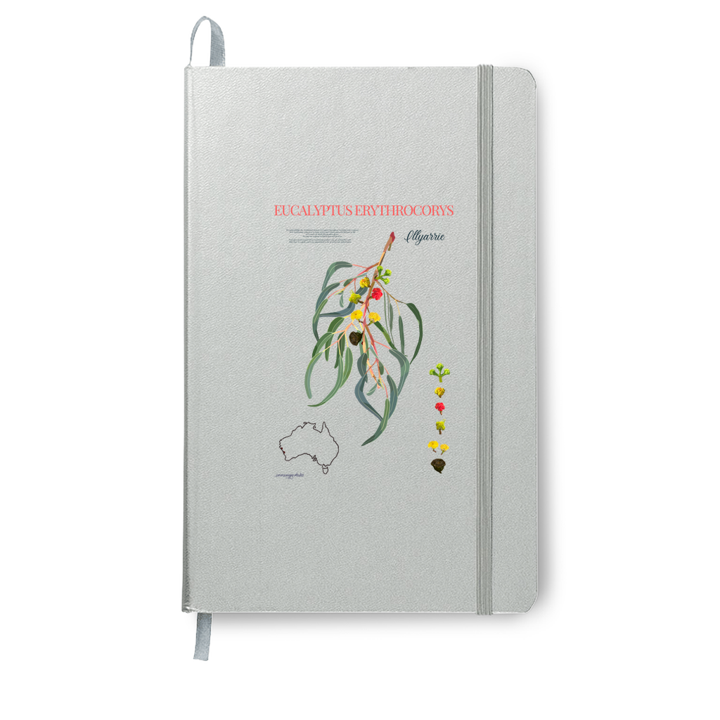 Illyarrie Journal