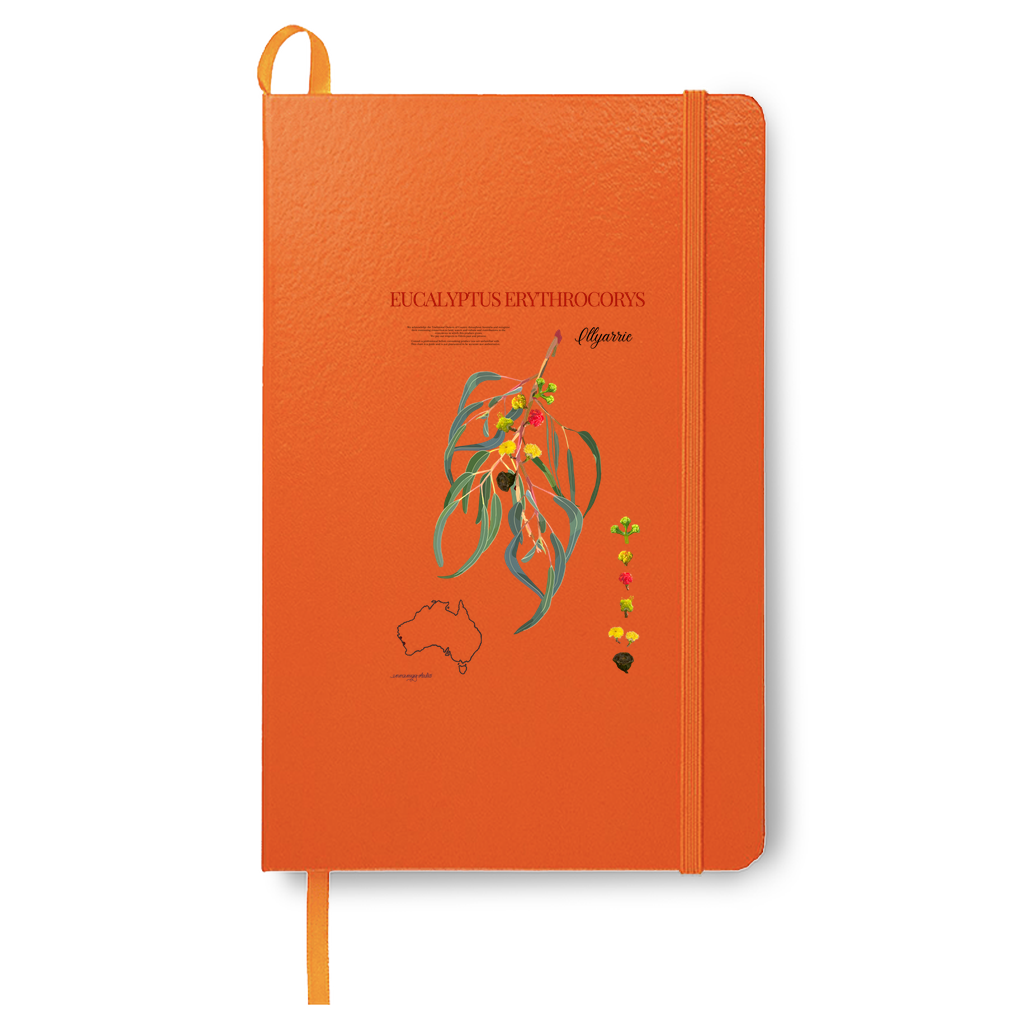 Illyarrie Journal