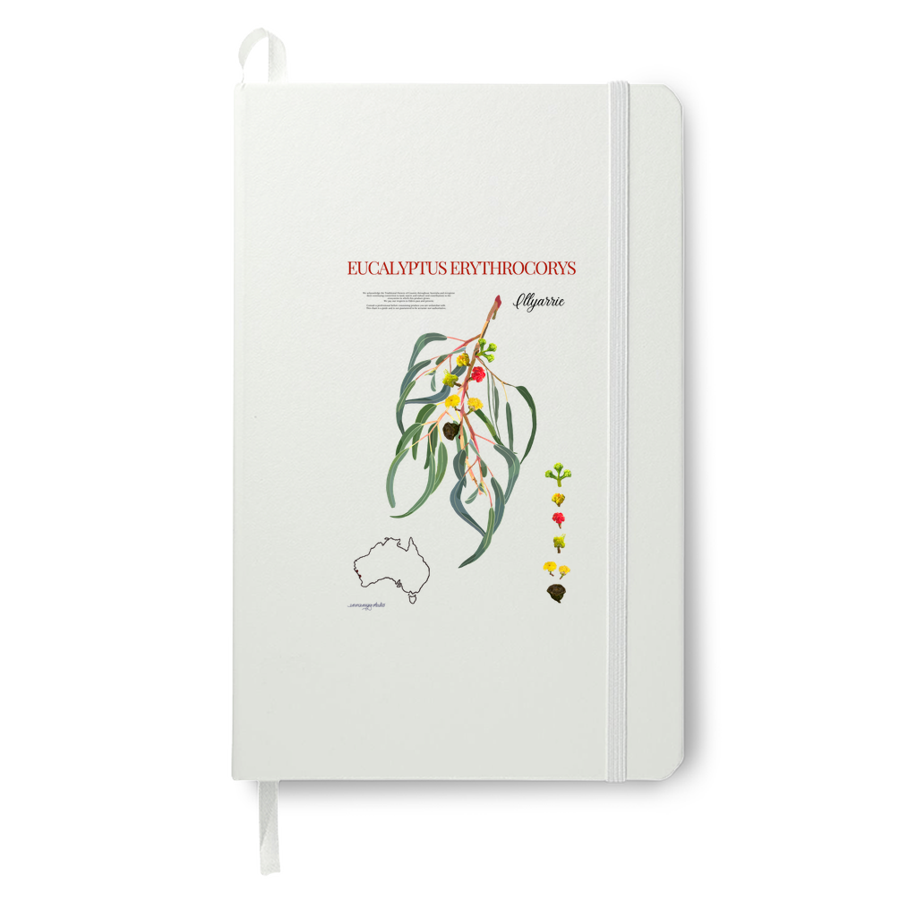 Illyarrie Journal