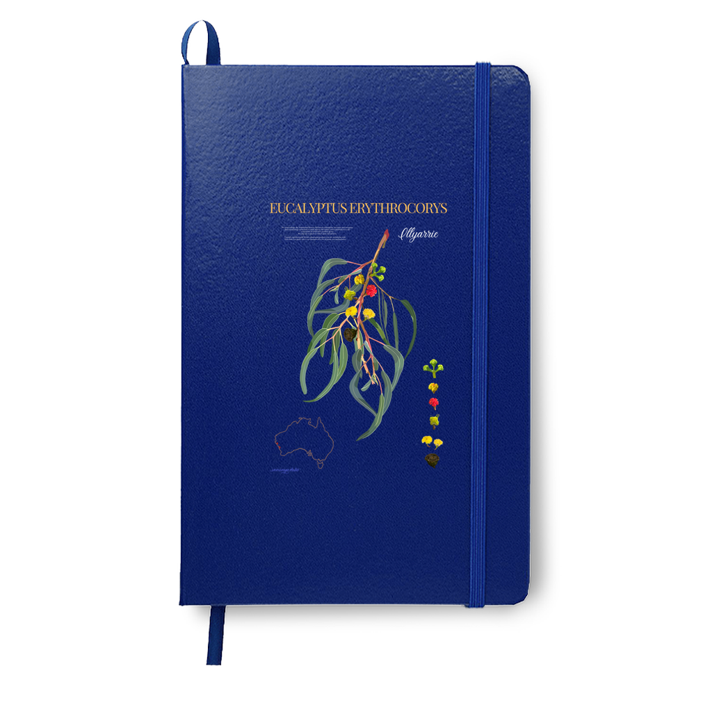 Illyarrie Journal
