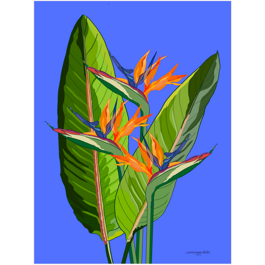 Hamish's Garden (calm version) A3 Art Print