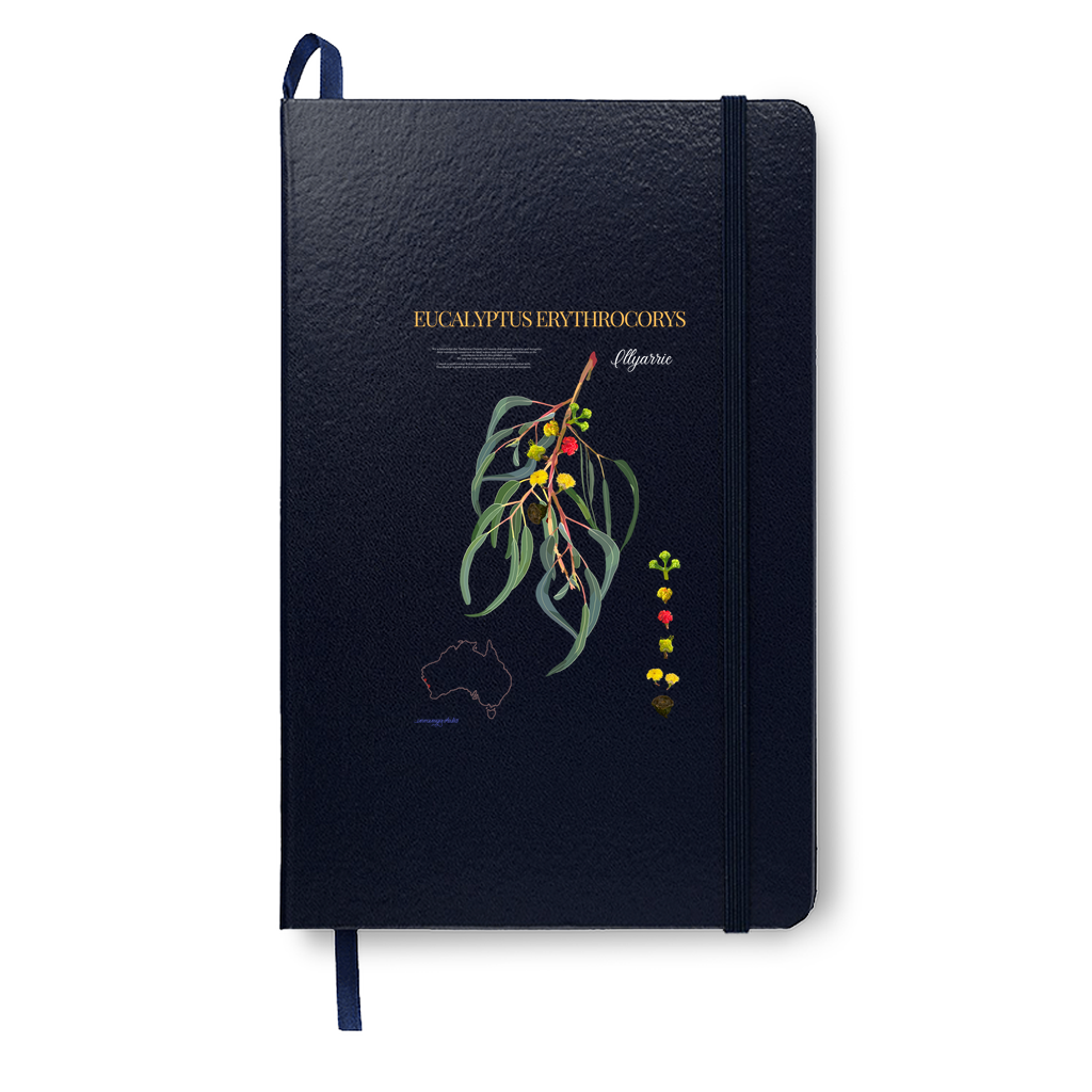 Illyarrie Journal