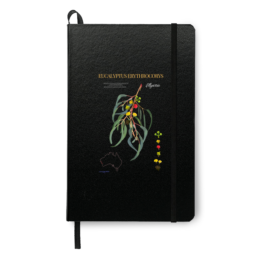 Illyarrie Journal